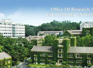 Trường Đại học Yonsei University TW